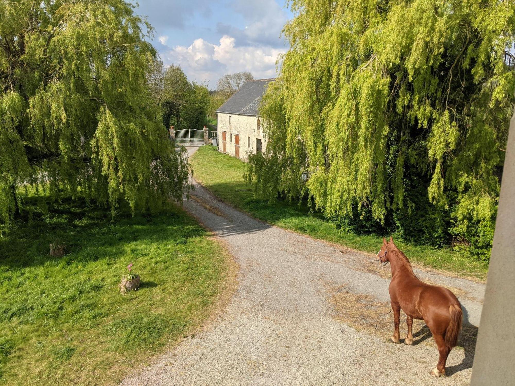 Ferme De Franqueville Sainte-Marie-du-Mont  Exterior photo